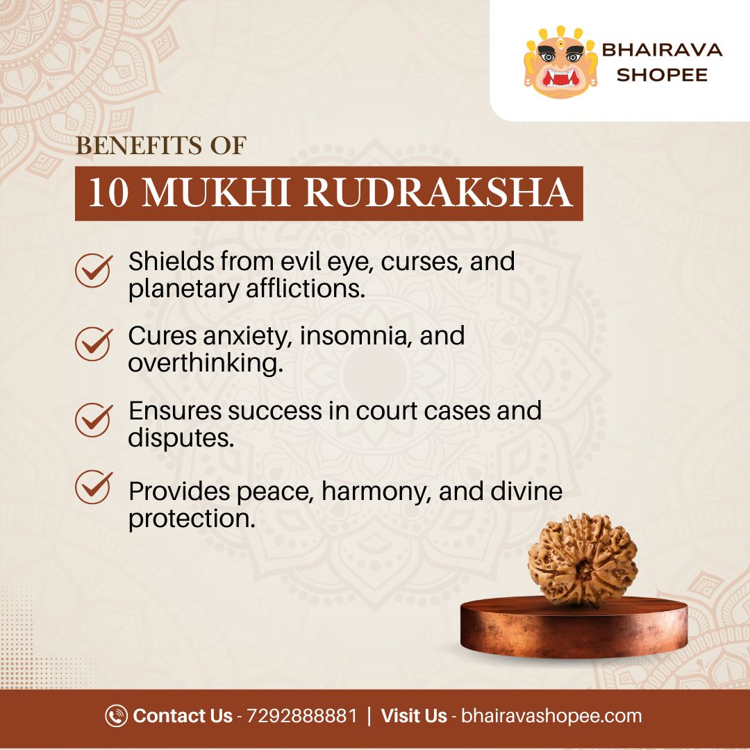 10 Mukhi Nepali Siddh Rudraksha | Rare Krishna Rudraksha for Peace, Protection & Planetary Balance